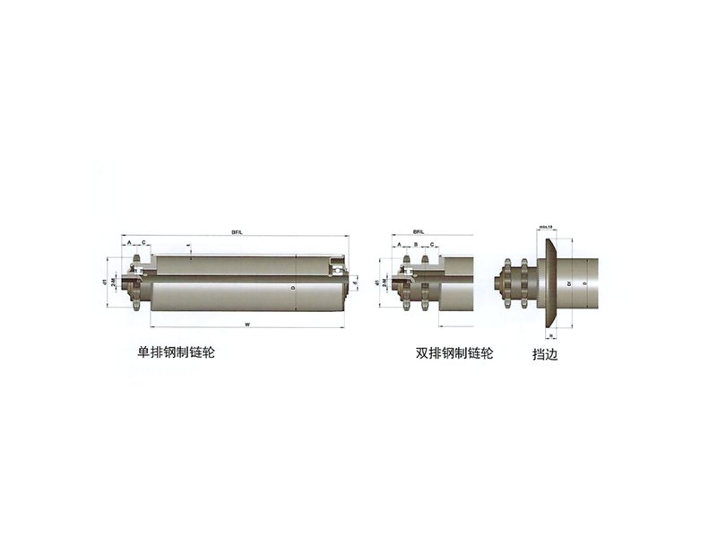 重負(fù)荷鋼制單/雙鏈輸送輥筒